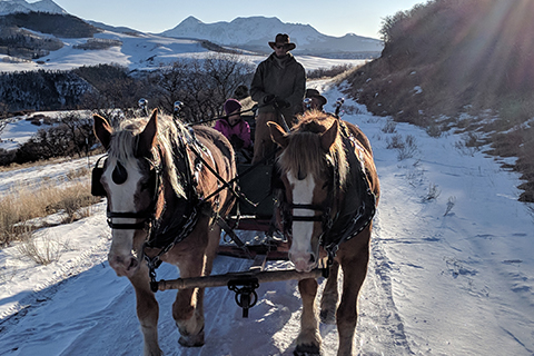 Things To Do https://telluridelodging.icnd-cdn.com/images/thingstodo/sleigh rides.jpg